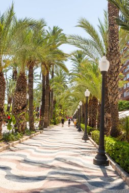 Alicante, Paseo de la Explanada 'da yürüyen ve dinlenen insanlar, yaz zamanı, palmiye ağaçları. Mermer yüzey. Alicante 'nin şehir merkezinde ünlü bir yer.