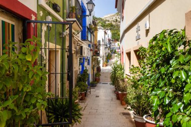 Alicante, Costa Blanca, İspanya 'daki Barrio Santa Cruz' da 5 Temmuz 2023 'te. Şehir merkezi, otantik evler, açık yeşil bitkiler, seyahat yerleri..