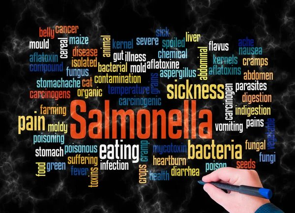 Word Cloud Salmonella Concept Create Text Only — Stock Photo, Image