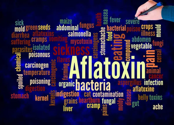 Word Cloud Aflatoxin Concept Create Text Only — Stock Photo, Image