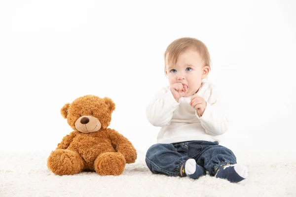 Stock Studio Photo White Background Baby His Hand Mouth Teddy — 스톡 사진