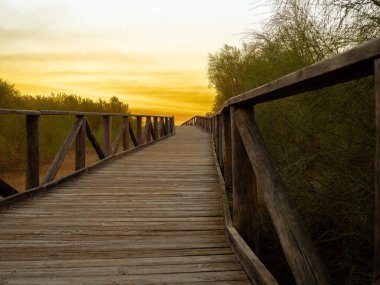 Tahta yol gün batımında sahile gidiyor. Yaz konsepti.