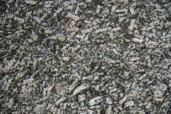 Lausitzer Granit Detail Betrachtet — Stockfoto