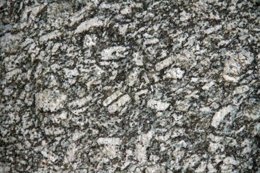 Lusatian graniti detaylıca düşünüldü