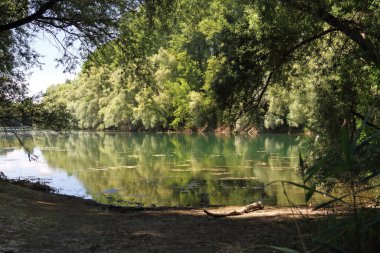 Ren otlaklarında su cesetleri