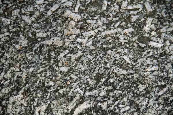 Lusatian Graniti Detaylıca Düşünüldü — Stok fotoğraf