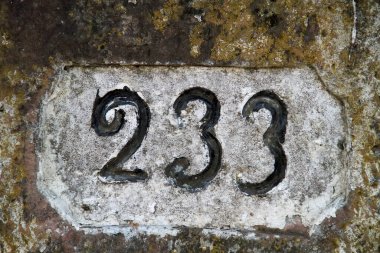 Almanya 'da Eggenstein yakınlarındaki Eski Ren' de eski bir kilometre taşı.