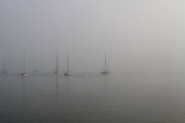 Sabah sisinde Ammersee Gölü 'nde yelkenli tekneler.
