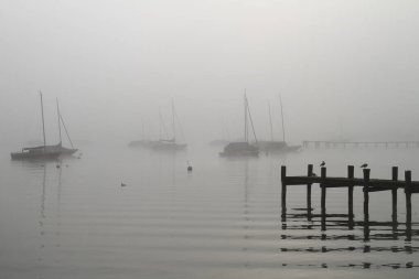 Sabah sisinde Ammersee Gölü 'nde yelkenli tekneler.