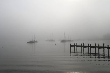 Sabah sisinde Ammersee Gölü 'nde yelkenli tekneler.