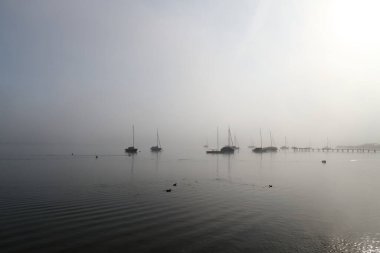 Sabah sisinde Ammersee Gölü 'nde yelkenli tekneler.