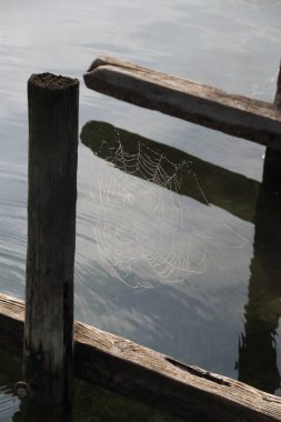 Sabah sisinden çiğ damlaları düşen bir örümcek ağı.