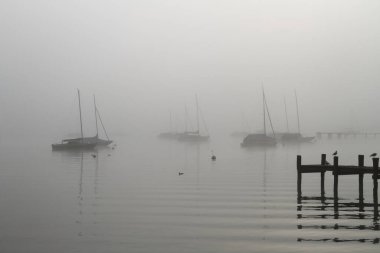 Sabah sisinde Ammersee Gölü 'nde yelkenli tekneler.