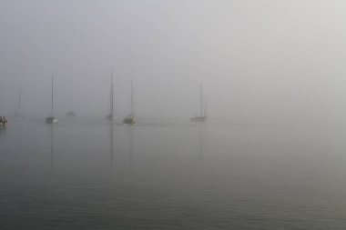 Sabah sisinde Ammersee Gölü 'nde yelkenli tekneler.