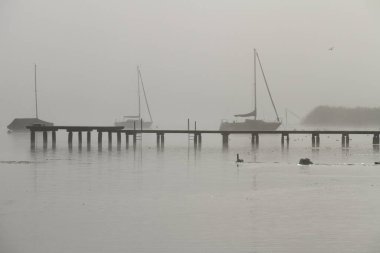 Sabah sisinde Ammersee Gölü 'nde yelkenli tekneler.