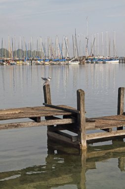 Bavyera 'daki Ammersee Gölü' nde tahta bir iskele. Yelkenli tekneleri ve martıları var.