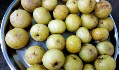 Geleneksel çelik bir tabağa yerleştirilmiş taze toplanmış Amla 'nın (Hint Bektaşi üzümü) yakın plan görüntüsü