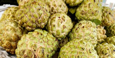 Anona squamosa, sitaphal veya şeker elması olarak da bilinen taze toplanmış elmaların canlı bir yakın çekimi yerel bir Hint pazarında satışa sunuldu..