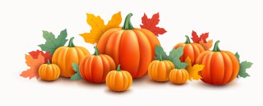 Şükran Günü ya da Cadılar Bayramı balkabağı arka planı - vektör illüstrasyonu beyaz arkaplanda izole