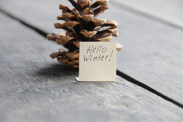 Merhaba Kış Yaratıcı Konsepti Noel Ağacının Yazıtları Konisi — Stok fotoğraf