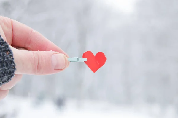 Creative winter background with paper heart. Love winter idea. Valentine\'s day greeting card.