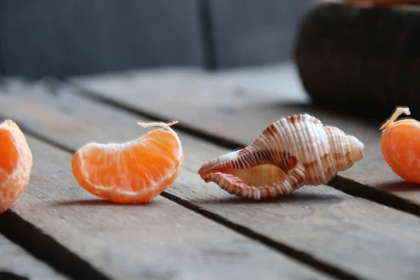 Seashell Slice Tangerine Old Vintage Table Summer Time Concept — Stock Photo, Image