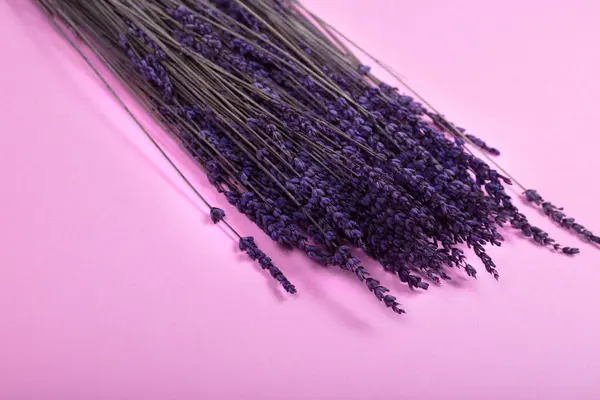 Yumuşak Pembe Arkaplanda Kurutulmuş Lavanta Çiçekleri Aroterapi, Doğa ve Sakinlik ve Rahatlama İçin Minimalist Çiçek Dekorasyonu