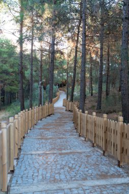 Ahşap Çit ve Yeşillik ile Anakkale 'deki Huzurlu Orman Yolu Doğaya Hevesli ve Huzurlu Yürüyüşler için ideal.