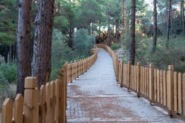Ahşap Çit ve Yeşillik ile Anakkale 'deki Huzurlu Orman Yolu Doğaya Hevesli ve Huzurlu Yürüyüşler için ideal.