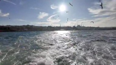 Güneşli bir günde İstanbul 'da Denizlerin Üzerinde Uçan Martılarla Deniz Feribotu, Türkiye Güzel Şehir Manzarası ve Arkaplanda Okyanus Dalgaları