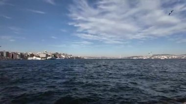 Güneşli bir günde İstanbul 'da Denizlerin Üzerinde Uçan Martılarla Deniz Feribotu, Türkiye Güzel Şehir Manzarası ve Arkaplanda Okyanus Dalgaları