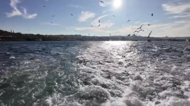 İstanbul, Boğaz 'da Yavaş Feribot Yolculuğu: Martılar, Dalgalar ve Güneşli Gün