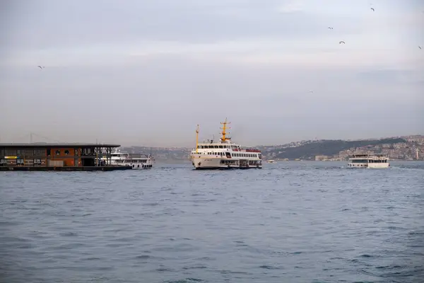 Sakin sularda süzülen teknelerle sakin bir rıhtım manzarası uzak bir şehir manzarası ve uçsuz bucaksız bulutlu gökyüzünün altında süzülen martılarla çevrelenmiş..