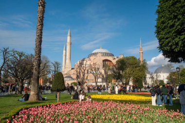 04.03.2025, İstanbul, Türkiye. İstanbul Sultanahmet Meydanı 'ndaki Renkli Bahar Lale Bahçeli Ayasofya Büyük Camii - Türkiye' de Güzel Parkın Zevkini Çıkaran Turistlerle çevrili Tarihi Osmanlı Simgesi