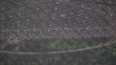 Şiddetli Sağanak Altında, Koruyucu Ağ 'da Parlayan Yağmur Damlaları Spor Tesisleri Ağı Üzerine Askıya Alındı