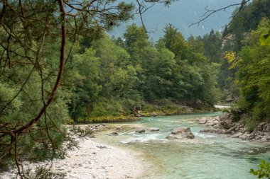 Slovenya 'nın manzarası. Soca Nehri 'nin turkuaz suları yeşil ormanın içinden akar.