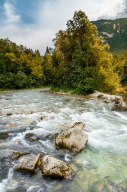 Slovenya 'nın manzarası. Soca Nehri 'nin turkuaz suları yeşil ormanın içinden akar.