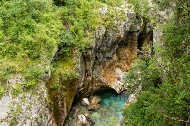 Slovenya 'nın manzarası. Soca Nehri 'nin turkuaz suları yeşil ormanın içinden akar.