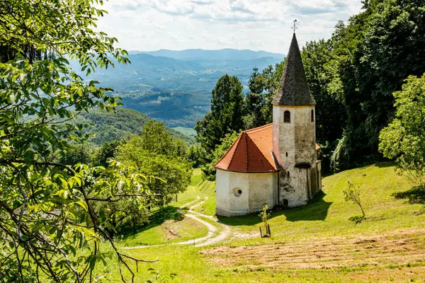 Slovenya 'nın manzarası. Çayır ve orman arasındaki dağda küçük beyaz bir kilise var.