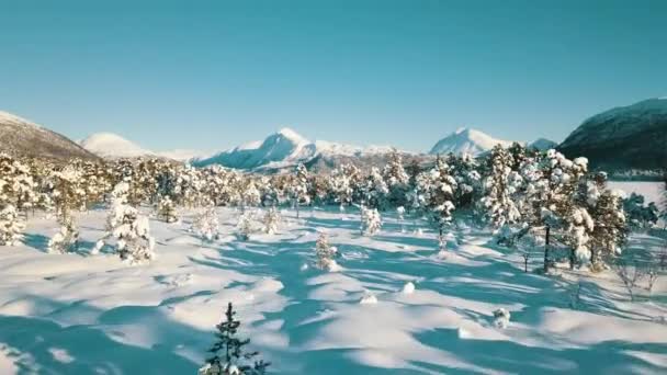 Полет Над Замерзшим Озером Горах Пляжный Домик Заснеженном Лесу — стоковое видео