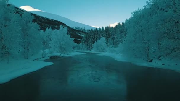 Замерзшая Горная Река Среди Деревьев — стоковое видео