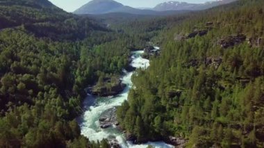 Norveç 'teki bir dağ nehrinin havadan görünüşü. Güzel yaz manzarası (kamera aşağı)).