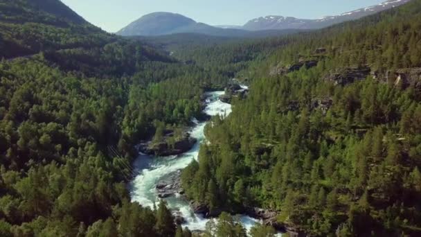Veduta Aerea Del Fiume Montagna Foresta Norvegia Scandinavia Fotocamera Dritto — Video Stock