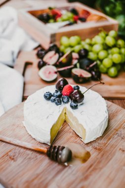 Brie cheese with honey and blueberries board, fresh fruit and nuts or Appetizers table in Mexico Latin America