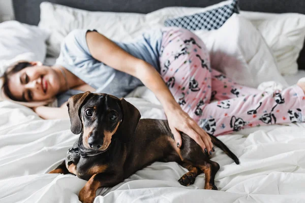 Lateinische Junge Frau Mit Hund Dackel Haustier Auf Dem Bett — Stockfoto
