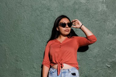 Latin kökenli Latin Amerikalı genç bir kızın portresi. Latin Amerikalı bir kız.