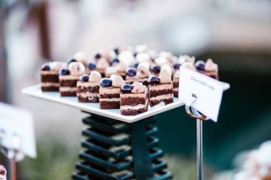 Sosyal etkinlikte ya da partide tatlı ya da tatlı büfesi çeşitleri