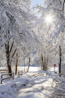 Kış manzarası, dağlar ve ağaçlar karda, güneş ışıl ışıl parlıyor..