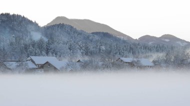 Karla kaplı ağaçlar ve sisli kış manzarası. Köyün, tarlaların ve dağların manzarası