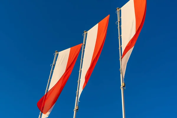 Poolse Vlaggen Tegen Blauwe Lucht Vlaggen Van Polen Wind Onafhankelijkheidsdag — Stockfoto